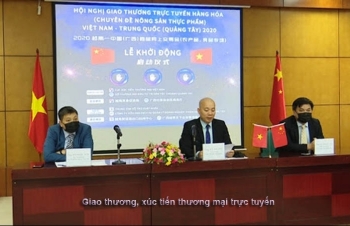 Đổi mới, nâng cao vai trò xúc tiến của hiệp hội doanh nghiệp