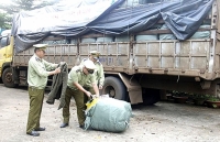 Đắk Lắk xử lý 578 vụ vi phạm pháp luật kinh doanh