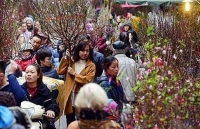 Hà Nội tổ chức 64 điểm chợ Hoa Xuân phục vụ Tết Nguyên đán Kỷ Hợi năm 2019