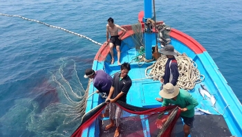 Thiệt hại nặng vì 