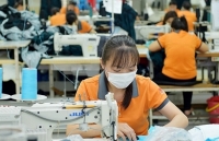 Hỗ trợ doanh nghiệp xuất nhập khẩu vượt qua khó khăn do tác động của dịch nCoV