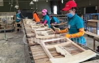 Thách thức hiện thực hóa VPA/FLEGT - Kỳ 3: Việt Nam nói “không” với gỗ bất hợp pháp