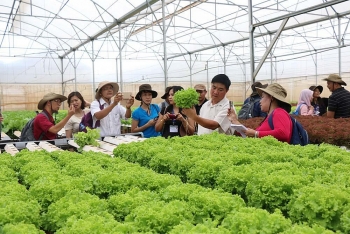 Nghị quyết 13-NQ/TW: Khắc phục dàn trải, mở ra cơ hội cho kinh tế tập thể