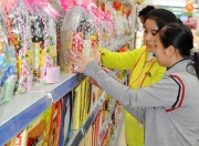 Hàng Việt chiếm lĩnh thị trường