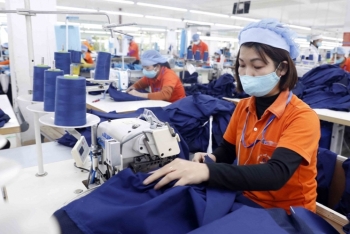 Doanh nghiệp dệt may: 