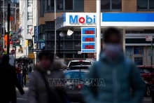 Giá dầu châu Á tăng 10% trong phiên giao dịch sáng 7/3