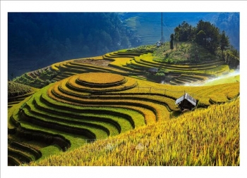 Nhiều hoạt động tham quan, trải nghiệm tại Yên Bái dịp nghỉ lễ 30/4, 1/5