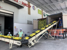 Philippines tiếp tục đứng đầu về tiêu thụ gạo của Việt Nam
