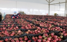 Kim ngạch thương mại hai chiều Việt Nam-Lào tiếp tục tăng