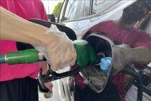 Giá dầu tại châu Á giảm nhẹ trong phiên 20/9 do lo ngại Fed tăng lãi suất