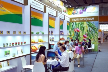 Xúc tiến thương mại trên nền tảng số: Bước chuyển lớn