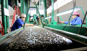 Lâm Đồng: “Làn gió mới” từ đề án điểm