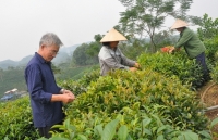 Thái Nguyên: Ưu tiên vốn đầu tư thiết bị