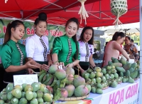 Nông sản Sơn La: Đồng bộ sản xuất theo tiêu chuẩn VietGap