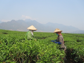 Lai Châu: Công khai cơ sở vi phạm ATTP