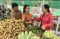 Chương trình OCOP: Giải pháp phát triển nông thôn mới hiệu quả