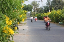 Đồng Nai: 13 xã đạt chuẩn nông thôn mới nâng cao