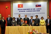 Việt Nam - Slovakia: Ký kết nhiều thỏa thuận hợp tác kinh tế