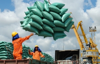 Việt Nam sẵn sàng tiếp tục là nhà cung cấp gạo ổn định, chất lượng của Philippines