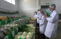 Thương vụ Việt Nam tại Singapore và Vietnam Airlines phối hợp hỗ trợ doanh nghiệp xuất khẩu