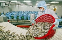 Xuất khẩu nông sản vào EU: Đáp ứng tiêu chuẩn để chiếm lĩnh thị trường