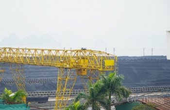 Đảng ủy TKV tiếp tục thúc đẩy Tập đoàn phát triển vững mạnh