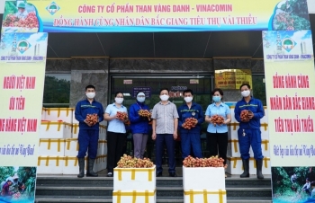 50 đơn vị thuộc TKV hỗ trợ tiêu thụ hơn 186 tấn vải thiều Bắc Giang