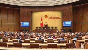 Phục hồi và phát triển kinh tế: Cần nâng mức hỗ trợ lĩnh vực ưu tiên, mũi nhọn