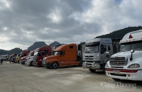 Bộ Công Thương phối hợp hỗ trợ doanh nghiệp gặp khó do dịch bệnh