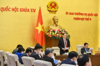 Đất đai để lãng phí, sử dụng sai mục đích còn diễn ra ở hầu hết các địa phương