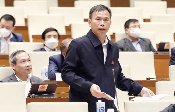 Sở hữu trí tuệ: Không thu hẹp đối tượng xử phạt vi phạm hành chính