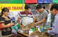 Quyền sở hữu công nghiệp: “Bảo bối” để cạnh tranh