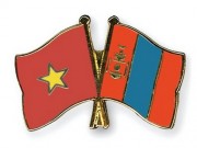 Việt Nam - Mông Cổ thúc đẩy hợp tác thương mại