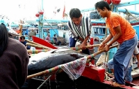 Nỗ lực gỡ “thẻ vàng” của EC