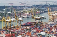 Xuất khẩu của ASEAN biến động như thế nào từ cắt giảm thuế trong RCEP?