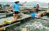 Phê duyệt nhiệm vụ lập Quy hoạch bảo vệ và khai thác nguồn lợi thuỷ sản