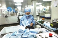 Ấn Độ cấm xuất khẩu khẩu trang và nguyên vật liệu