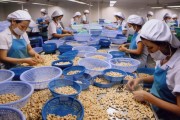 Việt Nam - Ấn Độ: Nhiều dư địa cho tăng trưởng thương mại