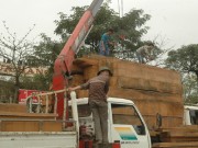 Chủ động nguyên liệu cho gỗ xuất khẩu
