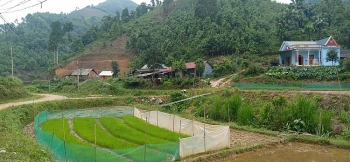 Sắc mới trên bản người Dao thôn Khe Tắm - Lào Cai