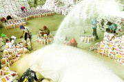 Xuất khẩu gạo: Hướng tới ổn định, bền vững