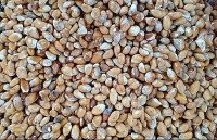 Lâm Đồng thông tin chính thức về 