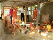 EVN: Chung tay xóa đói, giảm nghèo
