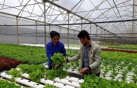 Xúc tiến thương mại và đầu tư tại Lâm Đồng: Nhiều khởi sắc