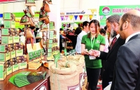 Để hàng Việt “chắc chân” tại thị trường EU