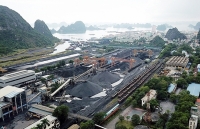 Nhà máy Sàng tuyển than Nam Cầu Trắng: Tập trung hoàn thành tiến độ di dời