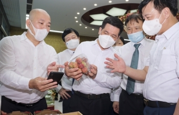 Bộ Công Thương tiếp tục đồng hành cùng Hải Dương trong tiêu thụ vải thiều và nông sản