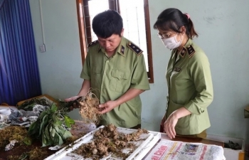 Bắt vụ vận chuyển 