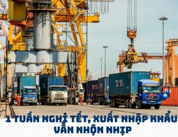 [Infographics] 1 tuần nghỉ tết, xuất nhập khẩu vẫn nhộn nhịp