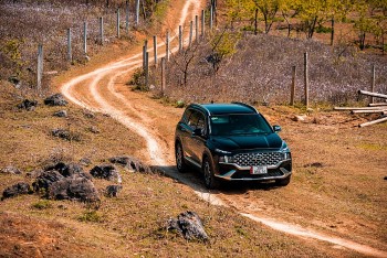 Tiêu thụ ô tô tháng 6 tại thị trường trong nước đạt hơn 25.000 xe